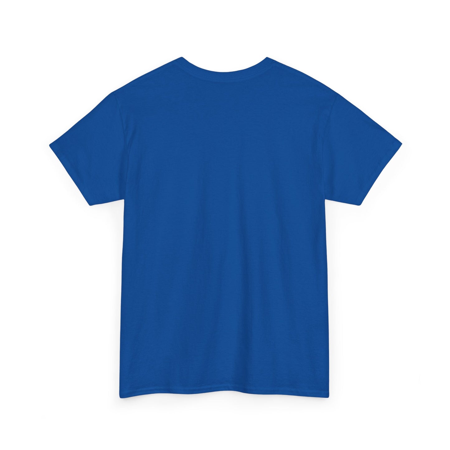 Professional Advice Giver Unisex Heavy Cotton Tee, Gift for Best Friend, Casual Wear, Advice Giver Shirt, Funny Tee, Unique Gift