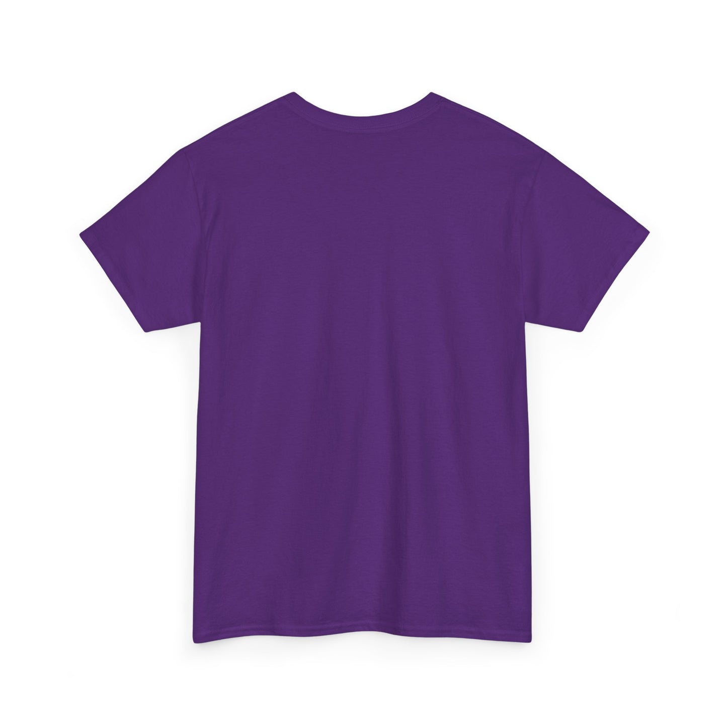 Professional Advice Giver Unisex Heavy Cotton Tee, Gift for Best Friend, Casual Wear, Advice Giver Shirt, Funny Tee, Unique Gift