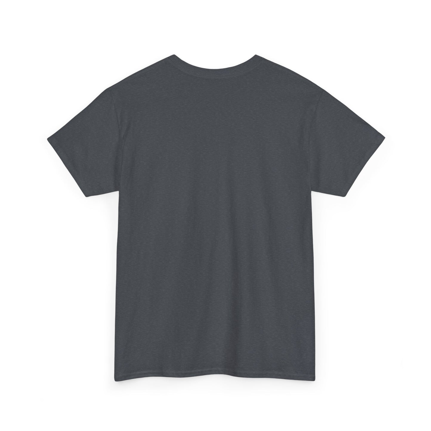 Professional Advice Giver Unisex Heavy Cotton Tee, Gift for Best Friend, Casual Wear, Advice Giver Shirt, Funny Tee, Unique Gift