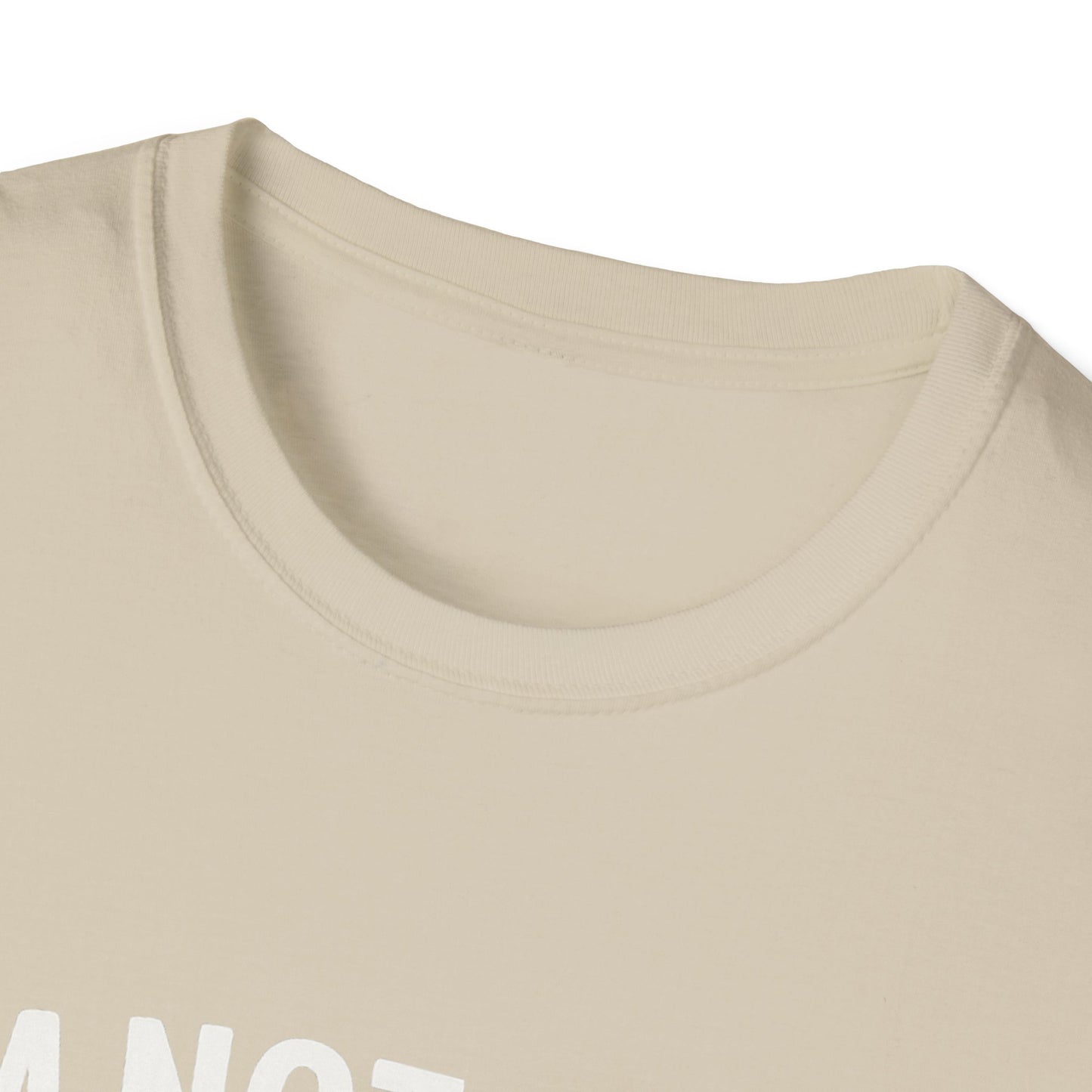 God's Timing T-Shirt, Christian Shirt, Faith-Based Apparel, Religious Gift, Casual Wear