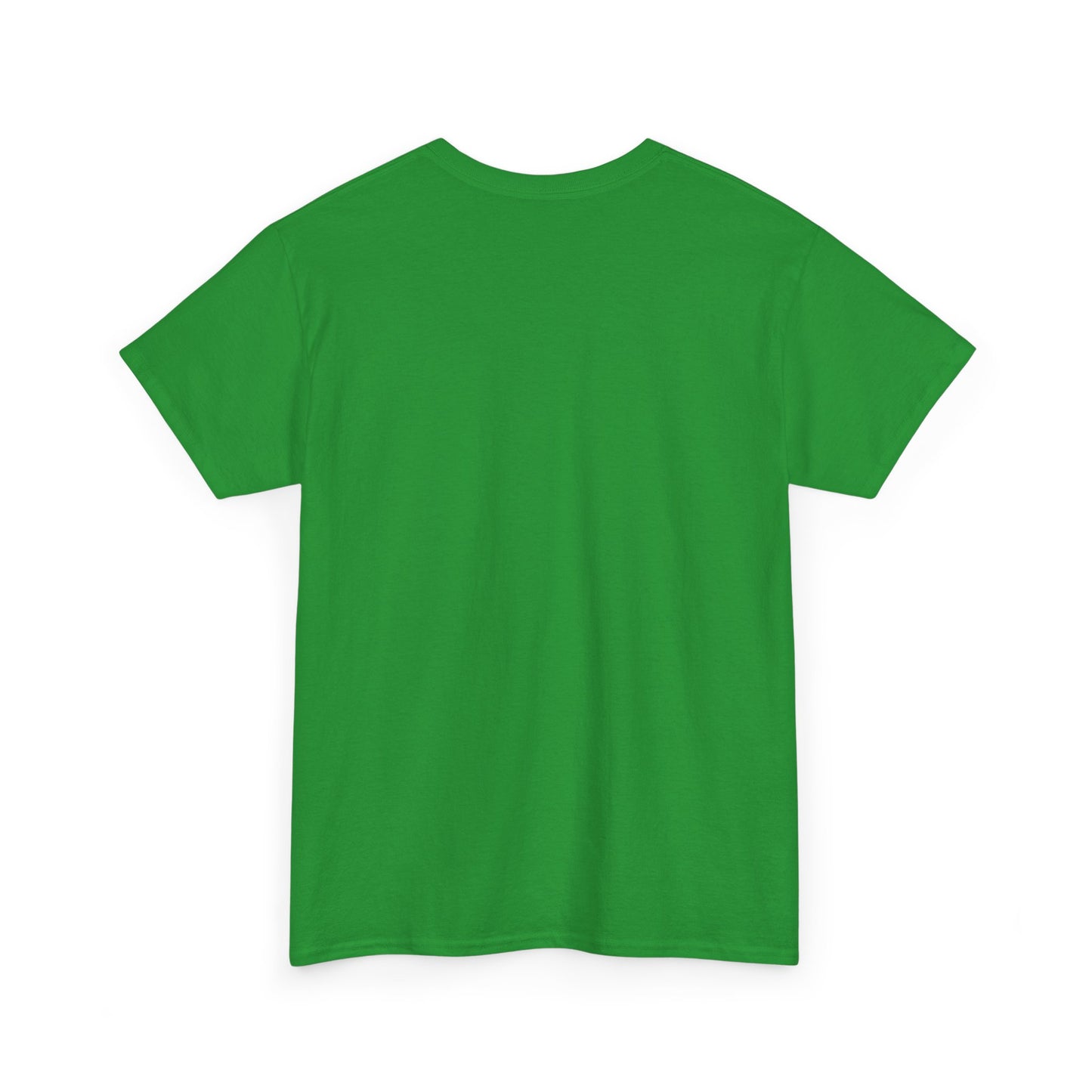 Professional Advice Giver Unisex Heavy Cotton Tee, Gift for Best Friend, Casual Wear, Advice Giver Shirt, Funny Tee, Unique Gift