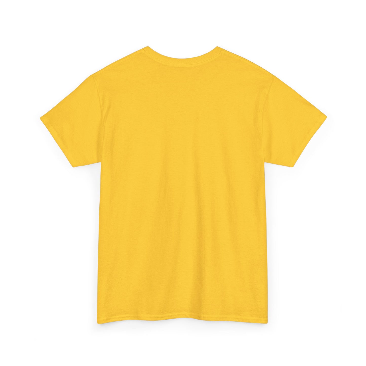 Professional Advice Giver Unisex Heavy Cotton Tee, Gift for Best Friend, Casual Wear, Advice Giver Shirt, Funny Tee, Unique Gift