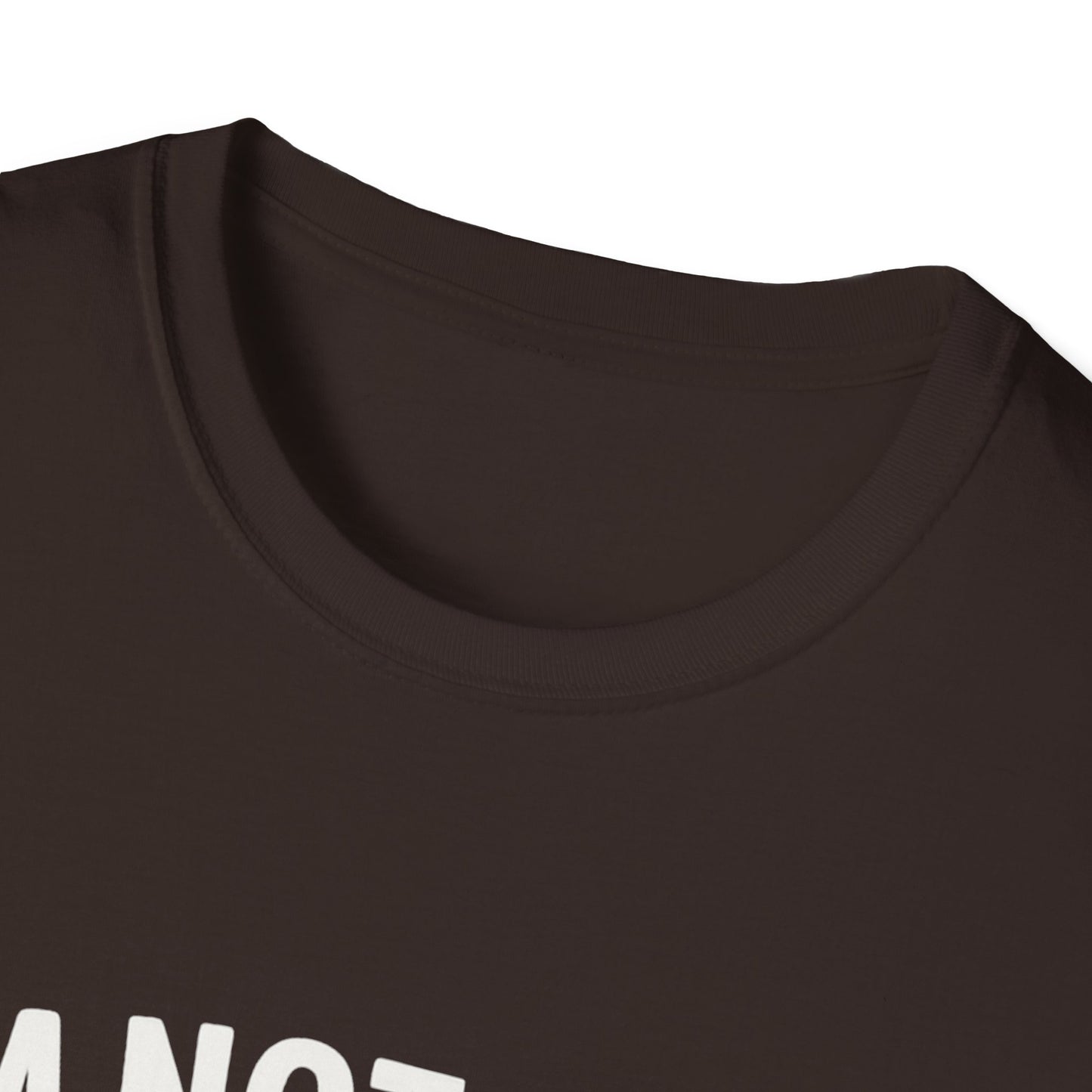 God's Timing T-Shirt, Christian Shirt, Faith-Based Apparel, Religious Gift, Casual Wear