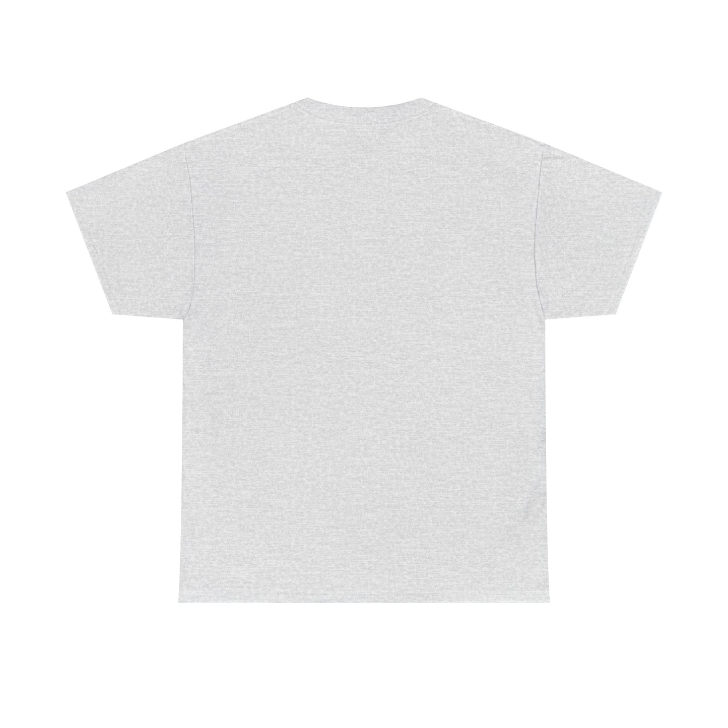 Professional Advice Giver Unisex Heavy Cotton Tee, Gift for Best Friend, Casual Wear, Advice Giver Shirt, Funny Tee, Unique Gift