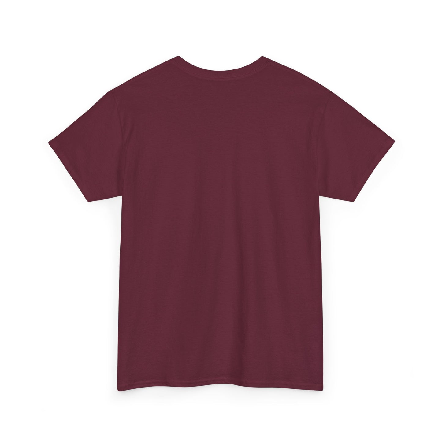 Professional Advice Giver Unisex Heavy Cotton Tee, Gift for Best Friend, Casual Wear, Advice Giver Shirt, Funny Tee, Unique Gift