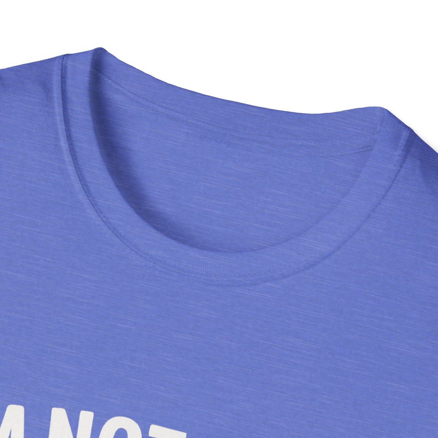 God's Timing T-Shirt, Christian Shirt, Faith-Based Apparel, Religious Gift, Casual Wear
