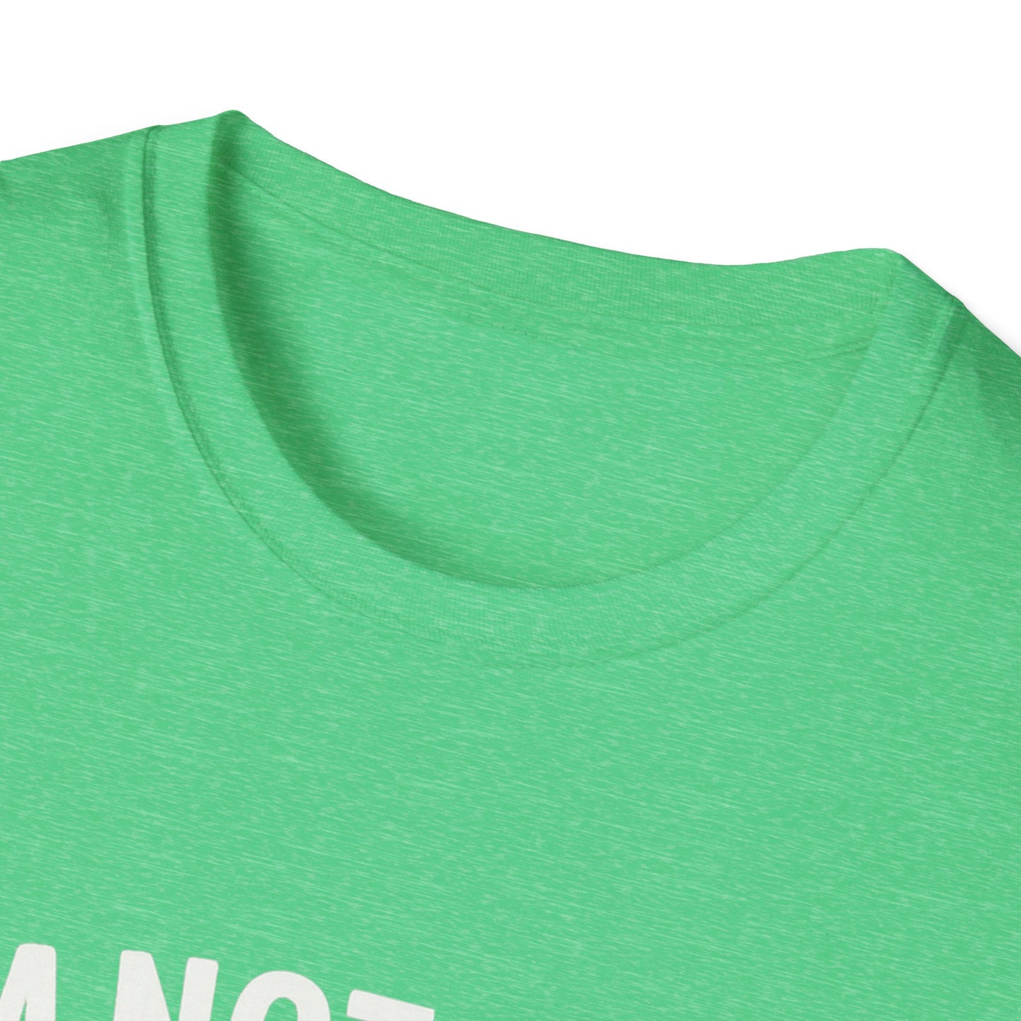 God's Timing T-Shirt, Christian Shirt, Faith-Based Apparel, Religious Gift, Casual Wear