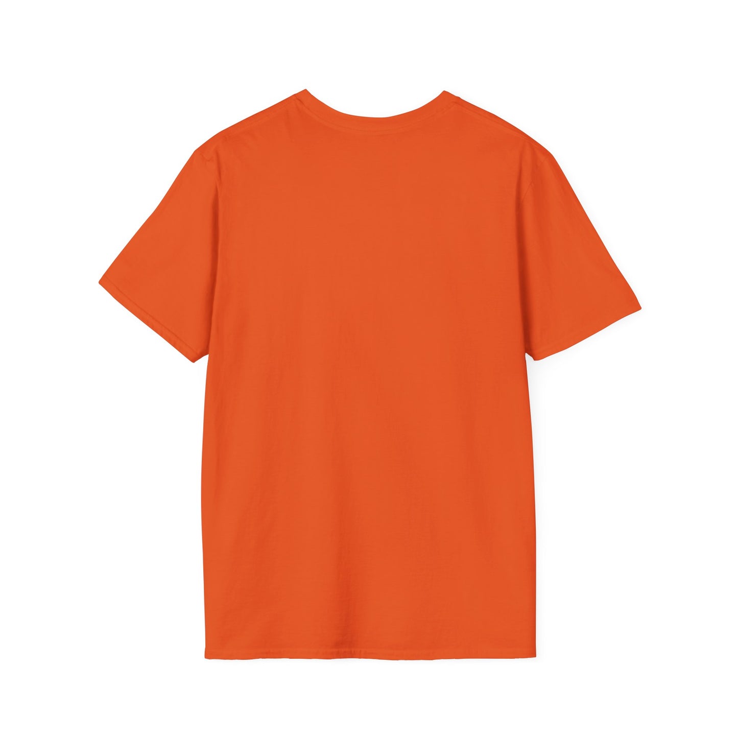 God's Timing T-Shirt, Christian Shirt, Faith-Based Apparel, Religious Gift, Casual Wear