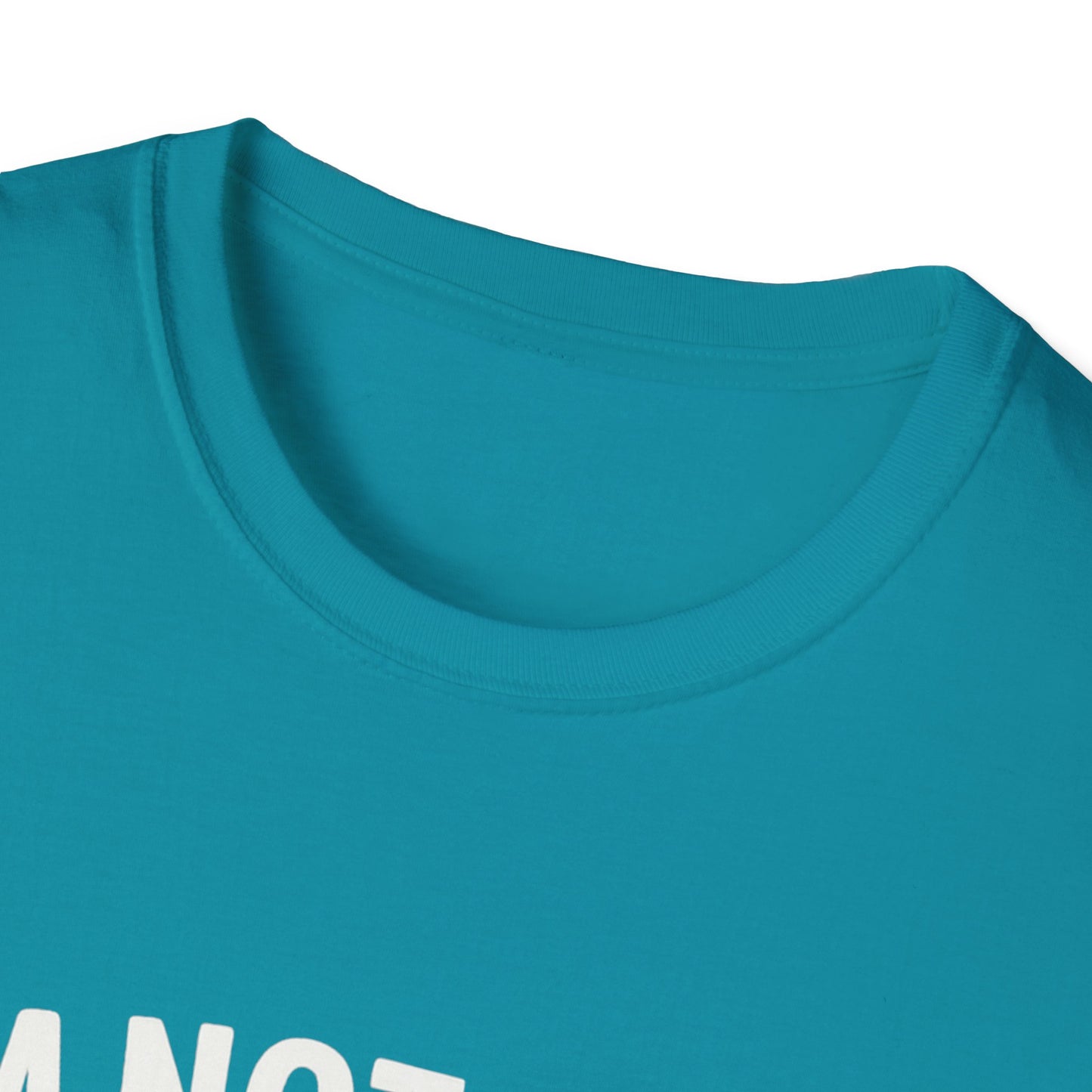 God's Timing T-Shirt, Christian Shirt, Faith-Based Apparel, Religious Gift, Casual Wear