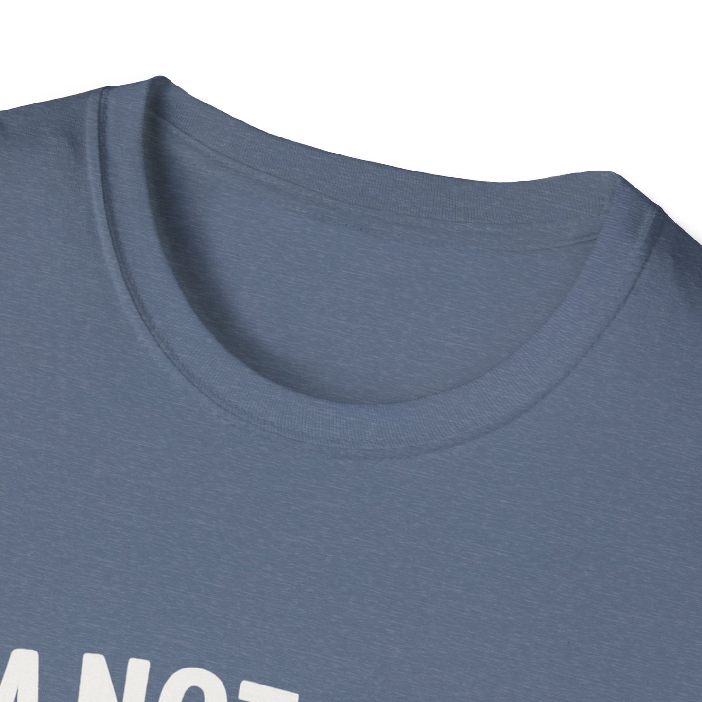 God's Timing T-Shirt, Christian Shirt, Faith-Based Apparel, Religious Gift, Casual Wear