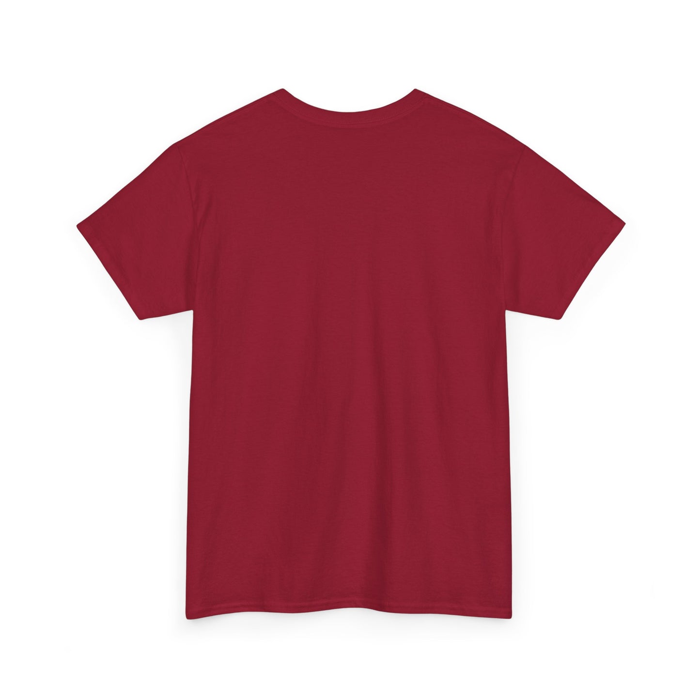 Professional Advice Giver Unisex Heavy Cotton Tee, Gift for Best Friend, Casual Wear, Advice Giver Shirt, Funny Tee, Unique Gift